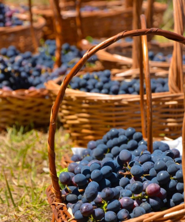 Vinícola Assunção